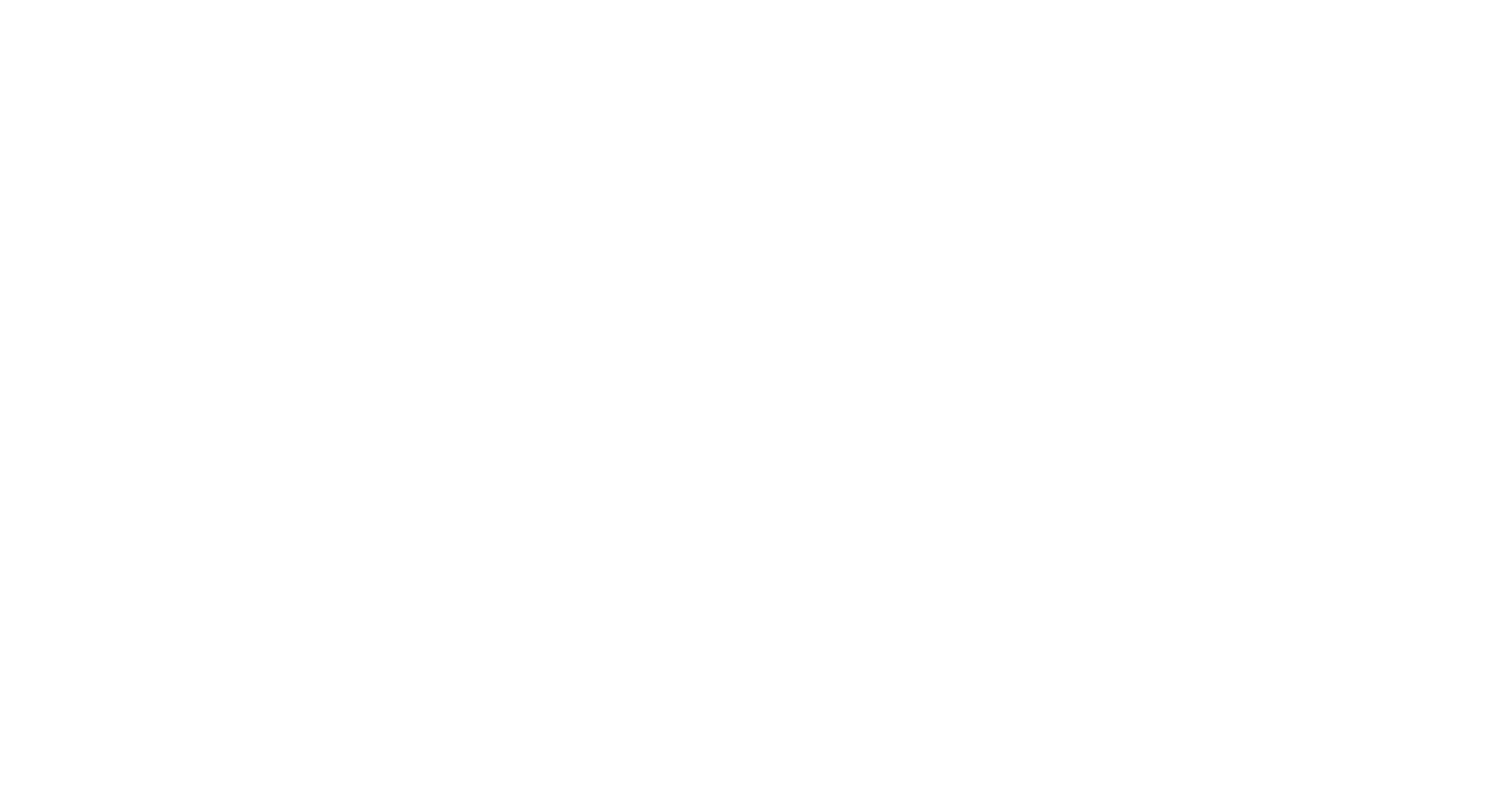 AVD Group Logo (white)